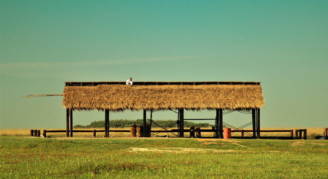 Techo de paja
