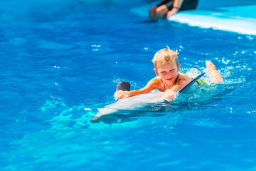 Happy little boy swimming with dolphins in Dolphinarium