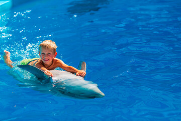 Fototapeta premium Happy little boy swimming with dolphins in Dolphinarium