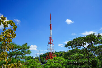 夏の青空と森の中の鉄塔