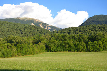 Fototapeta na wymiar Green Meadow surrounded by Mountains in The Pyrenees Spanish Mountains