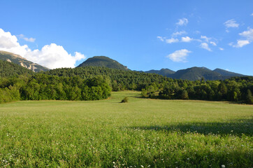 Green Meadow surrounded by Mountains in The Pyrenees Spanish Mountains