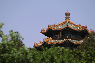 Distant view of building in Xicheng in Beinging among tree branches 