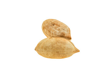 Fototapeta na wymiar Ripe tasty Two pecan nuts