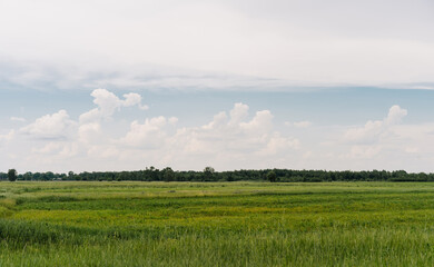 Fototapeta premium landscape
