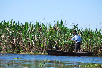Canoero del Iberá