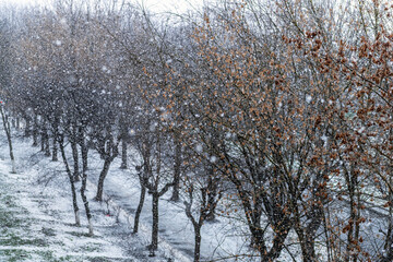 Rivne, Ukrainian city in western Ukraine in winter with snow weather road landscape high angle view from apartment window