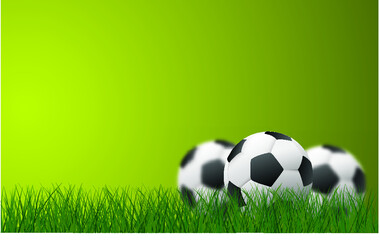 Soccer field, football field. Play, team sport, Green grass sky background. Flat vector playing field banner signs. Soccer ball in goal