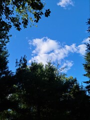 Landscape, nature, blue sky ,trees and clouds