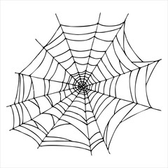 Vector image of spider web isolated on white background