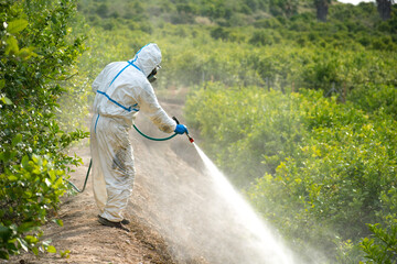 Farm worker in protective suit spray pesticide, insecticide or fumigate in agricultural field. ,
