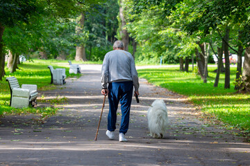 Elderly man walking a dog