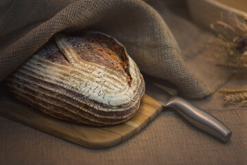 Freshly baked sourdough wheat bread laying on wooden board with a knife, covered with jute.