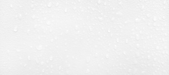 Water droplets perched on a white background.