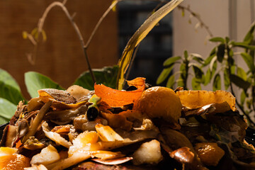 primer plano de basura orgánica para compost