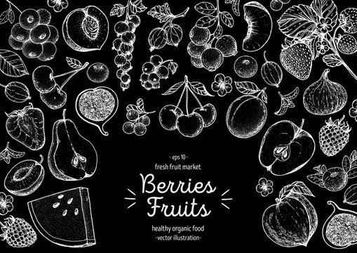 Berries and fruits drawing collection. Hand drawn berry sketch. Vector illustration. Engraved style.