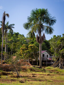Village on the banks of the Rio Negre; Amazonas; Brazil