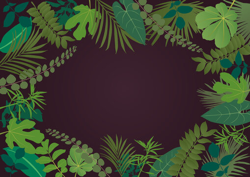 Cartouche vierge de couleur blanche, entour&eacute; de diff&eacute;rents types de feuilles, pour servir d&rsquo;arri&egrave;re-plan &agrave; une pr&eacute;sentation sur le th&egrave;me de l&rsquo;environnement.