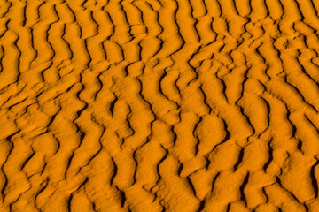 Sand ripples
