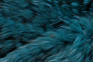  texture of natural fox fur, wallpaper, background, view from above, no people