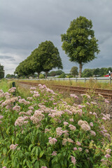 Obraz premium westfalen