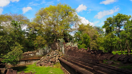 Cambodia Siem Reap－July 27, 2016: Ancient architecture and natural scenery  in Angkor Wat Cambodia. Photo taken in outside area. (Lady temple, Water fall (Phnom Kulen), Beng Mealea temple and Tonle Sa