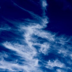 The thin white streaky clouds in the bright blue sky.