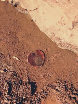 Heart Shaped Leaf on Sand
