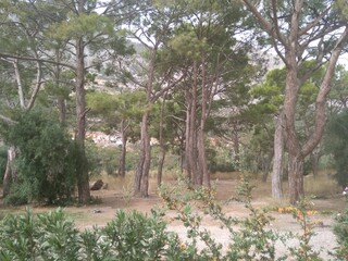 Antalya