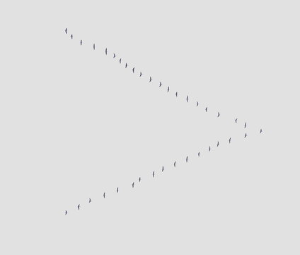 Flock of birds migrating in V formation