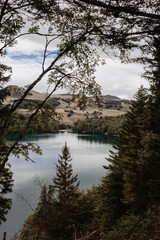 reflection of trees in the lake