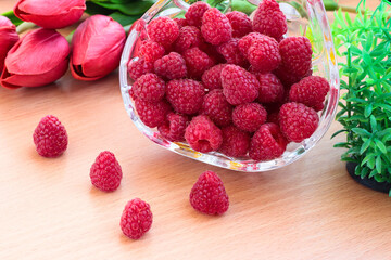 Raspberries in a crystal vase on a background of tulips and foliage.
