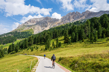 Fototapeta na wymiar Mountain biker riding his bicycle on a trail going through green meadows in the Italian Alps. Dolomite peaks are visible in the background. Latemar, Trentino - Italy