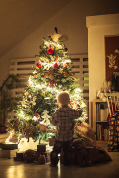 Boy by the Christmas Tree
