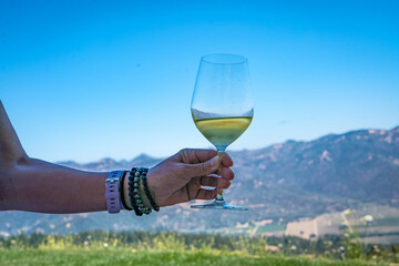 White wine swirl