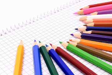 Color pencils isolated on checkered paper.