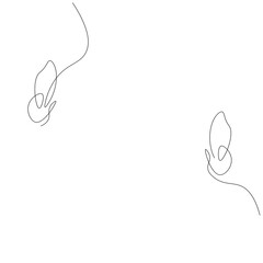 Butterfly animal silhouette line drawing. Vector illustration