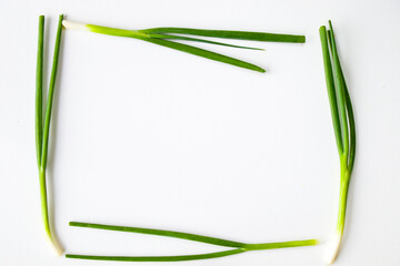 Green onion on the white background, greens