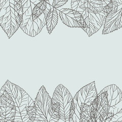 Border elements of leaves. Realistic leaves forma