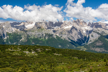Meadow in the beautiful alpine landscape of the 