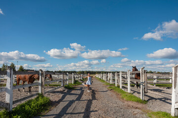 A young woman stands by the corrals with horses, calls animals to her with hand gestures, Summer sunny day, there is a place for text on the background of the sky. Agriculture concept