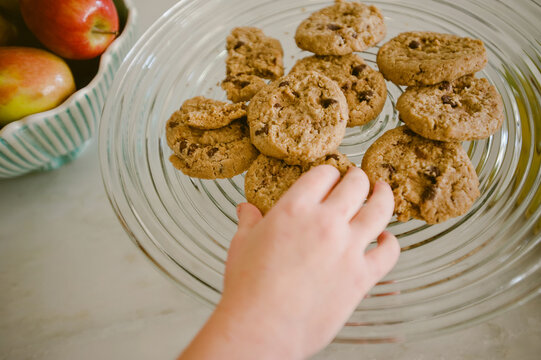 Cookie Monster