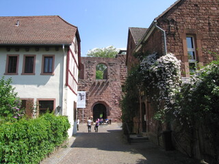 Fototapeta na wymiar Gelnhausen Kaiserpfalz