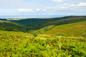 View towards the Bristol Channel and Hinkley Point power station from the Quantock Hills, Somerset, England