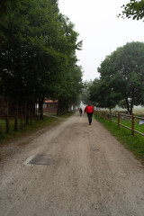 Personas andando por un camino de tierra en medio de niebla