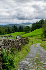 Peaceful scenic walking path in rural environment