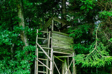 ansitz jägersitz oder hochsitz im wald, beobachtung und jagd von wild in der natur, forstwirtschaft und arbeitsplatz von jäger und förster