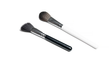 Professional makeup brushes isolated on a white background.