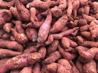 Fototapeta premium sweet potato
