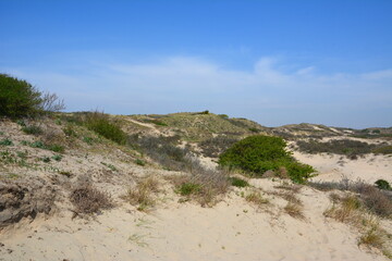 Nationalpark Süd-Kennemerland